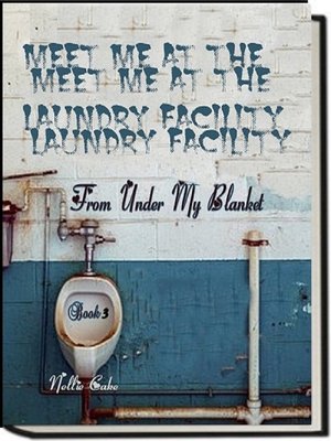 cover image of From under My Blanket...Meet Me at the Laundry Facility Book 3